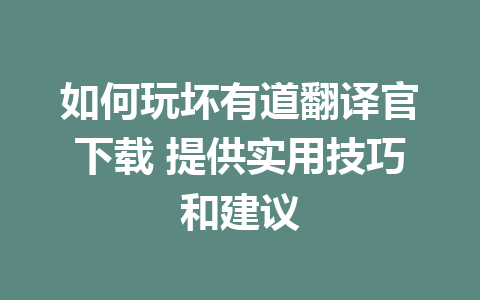 如何玩坏有道翻译官下载 提供实用技巧和建议