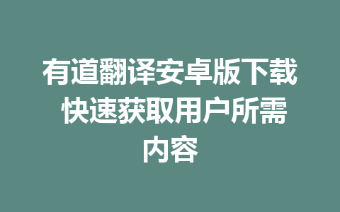 有道翻译安卓版下载 快速获取用户所需内容