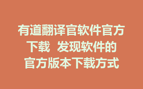 有道翻译官软件官方下载  发现软件的官方版本下载方式